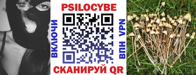 Псилоцибиновые грибы мухоморы  Суздаль 