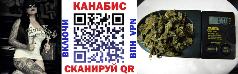 продажа наркотиков  Суздаль  Каннабис конопля 